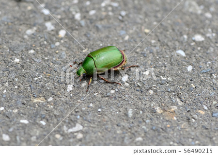 Awesome glass 56490215