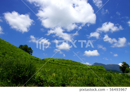 阿蘇,Osanada稻田,新鮮的綠色鄉村 阿蘇,Osanada稻田,新鮮的綠色鄉村 56493967