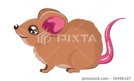 Cartoon brown rat 56496187