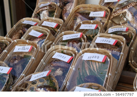 Matsutake Matsutake 56497797
