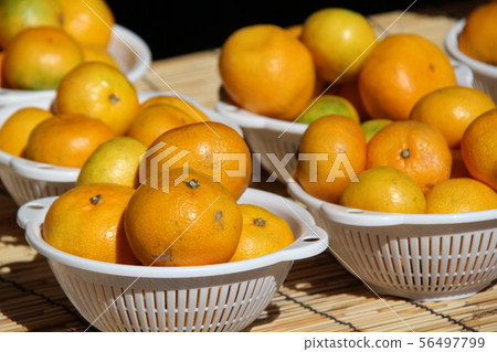 Mandarin orange Mandarin orange 56497799