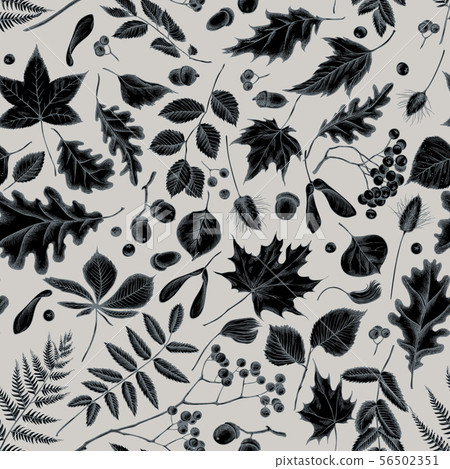 Seamless pattern with hand drawn stylized rowan, rowan, acorn, buckeye, fern, maple, birch, maple 56502351