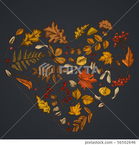 Heart design on dark background with rowan, rowan, acorn, buckeye, fern, maple, birch, maple leaves 56502646
