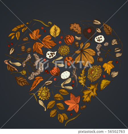 Heart design on dark background with rowan, rowan, acorn, buckeye, fern, maple, birch, maple leaves 56502763