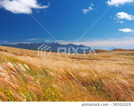 Autumn meadow with blue sky Autumn meadow with blue sky 56502828