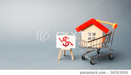 House in the shopping cart and easel with a dollar 56503950