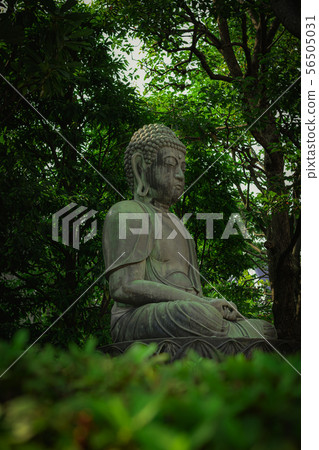 Buddha statue Buddha statue 56505031