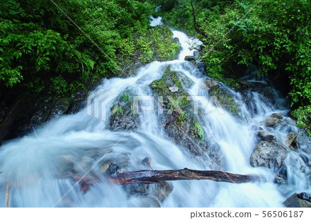 Anonymous Falls Katsuragi-cho, Ito-gun, Wakayama Prefecture 56506187