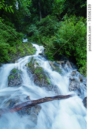 和歌山縣伊東郡匿名瀑布葛城町 56506189