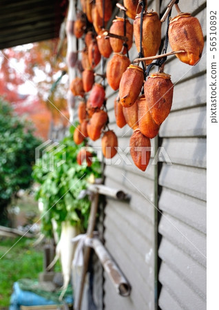 Preparation for winter Preparation for winter 56510892