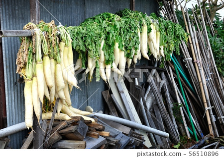 Preparation for winter Preparation for winter 56510896