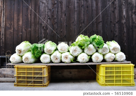 Preparation for winter 56510908