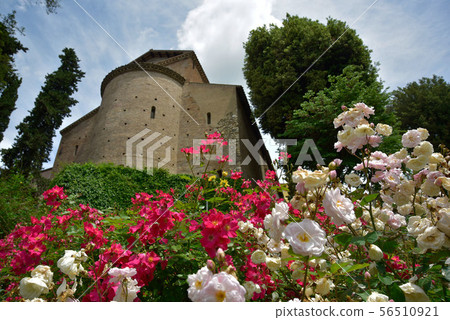 在華麗的天狗，美麗的Hanami，青木太木和英雄城堡下。 56510921