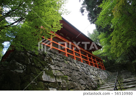 Hiezan Enryakuji 56510980