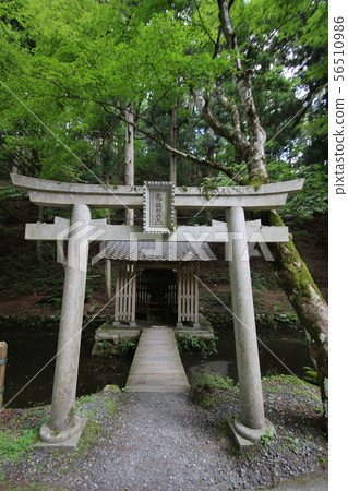 Hiezan Enryakuji 56510986