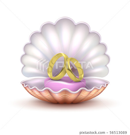 Reaistic golden wedding rings in seashell isolated on white background. To marry vector concept 56513089