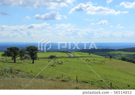 北海道Kamishihoro Naitai Kogen Ranch 56514852