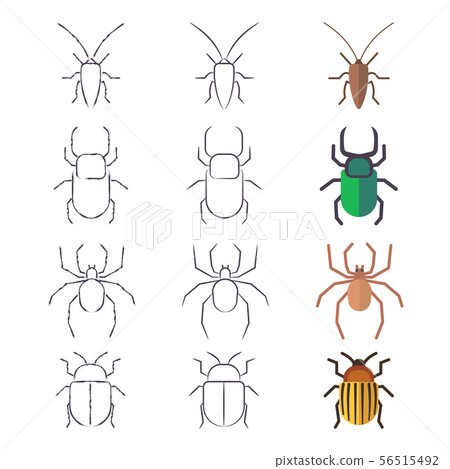 Line and flat beetles, cockroach and spider Line and flat beetles, cockroach and spider 56515492