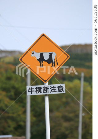 北海道,北海道東部,牛肉橫穿小心路標 北海道,北海道東部,牛肉橫穿小心路標 56515539