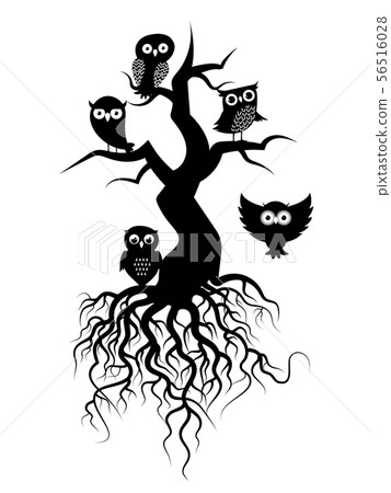 Old tree vector silhouettes with roots and owls Old tree vector silhouettes with roots and owls 56516028