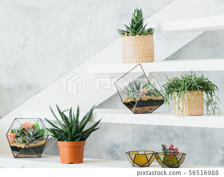 floral interior decor plants pots vases stairs floral interior decor plants pots vases stairs 56516988