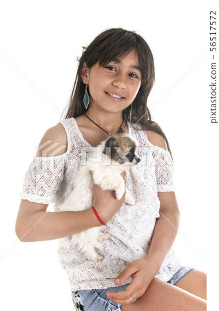 chihuahua and teenager 56517572