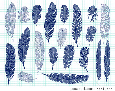 Ballpoint pen drawing bird feathers big set on notebook background 56519577