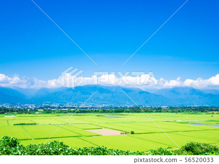 Shinshu Azumino農村風景在夏天 Shinshu Azumino農村風景在夏天 56520033