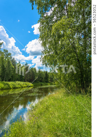 Summer landscape with a small river. 56523052