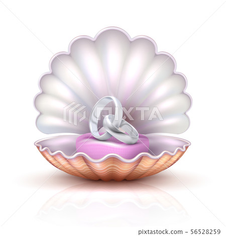 Marriage rings on realistic seashell, vector luxury silver wedding 56528259