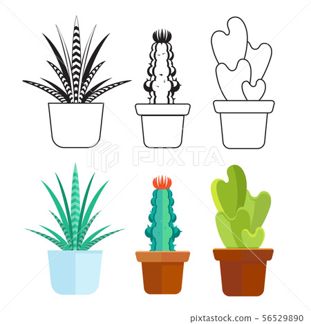 Popular succulents line and cartoon set - home cactus icons 56529890