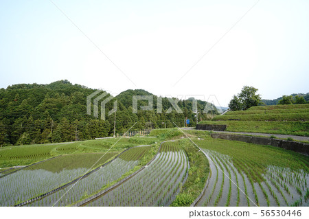 Scenery of Chihaya Akasaka Village 56530446