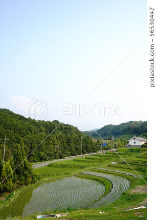 Scenery of Chihaya Akasaka Village 56530447