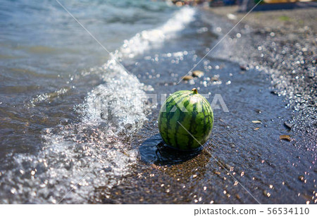 watermelon watermelon 56534110