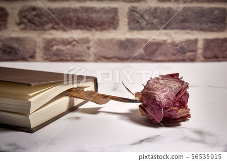book closed with a dry rose between its leaves book closed with a dry rose between its leaves 56535915