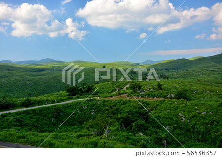 A trekking course (13) that proceeds from the Yamaguchi / Akiyoshidai / East Observatory while being blown in a refreshing breeze 56536352