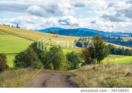 beautiful countryside in early autumn beautiful countryside in early autumn 56538683