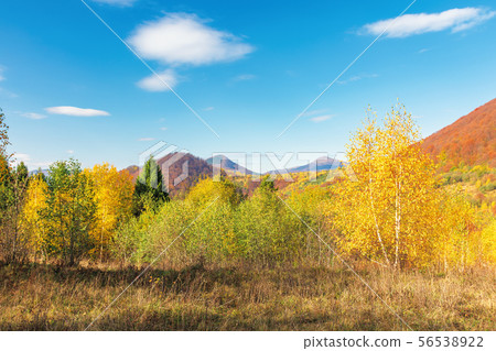 beautiful autumn scenery in mountains beautiful autumn scenery in mountains 56538922