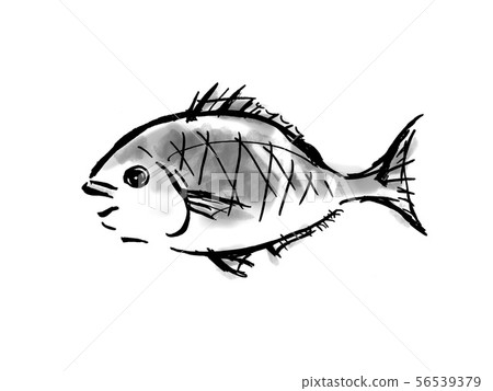 鯛魚/海鮮Medetai新年手寫筆刷手繪Meadai鯛魚sumi-e幸運符紅魚 56539379