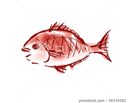 鯛魚/海鮮Medetai新年手寫筆刷手繪Meadai鯛魚sumi-e幸運符紅魚 56539382