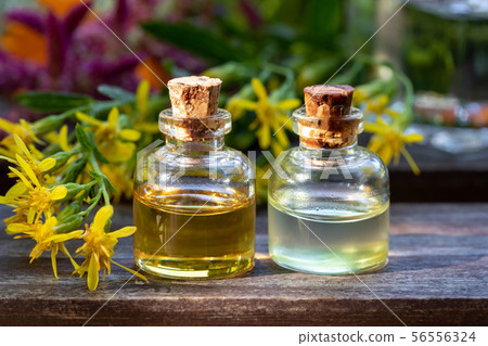 Bottles of essential oil with European goldenrod 56556324