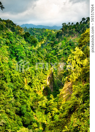 Landscape at Sewu Waterfalls in East Java, Indonesia Landscape at Sewu Waterfalls in East Java, Indonesia 56557664