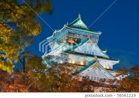 Night view of Osaka Castle Night view of Osaka Castle 56561219