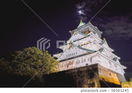 Night view of Osaka Castle Night view of Osaka Castle 56561245