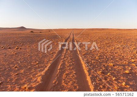 Track in the sand. Track in the sand. 56571162