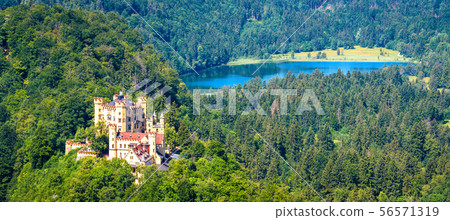 Alpine landscape with Hohenschwangau Castle, 56571319