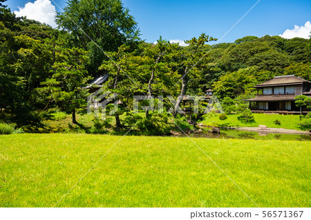 Sankeien Garden Sankeien Garden 56571367