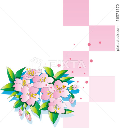 Cherry blossoms and lattice background Cherry blossoms and lattice background 56571370