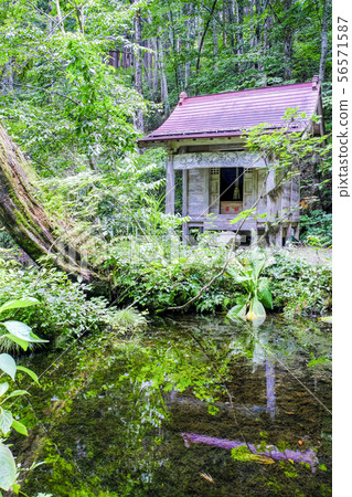 八大龍王Gongen（垂直） 56571587