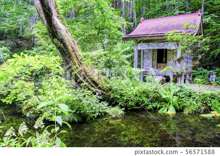 八大龍王 八大龍王 56571588